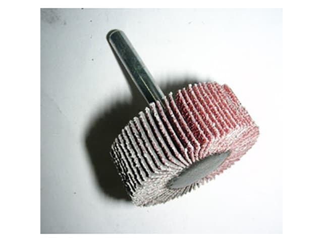 Roue A Lamelles D060x30 Tige 6 Al60