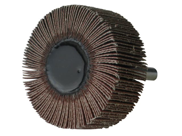 Roue A Lamelles D50x20 Tige 6 Al120