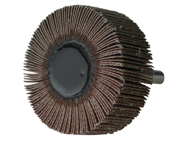 Roue A Lamelles D50x20 Tige 6 Al60